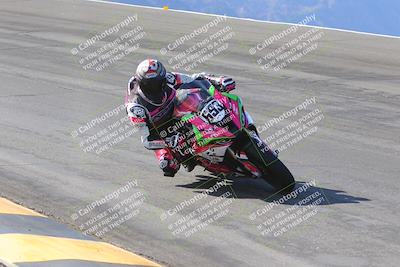 media/Dec-15-2023-Apex Assassins (Fri) [[91f19fb1c7]]/Trackday 1/Session 2 (Bowl)/